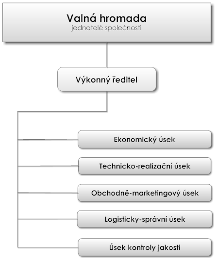 Organizační struktura UPS Technology